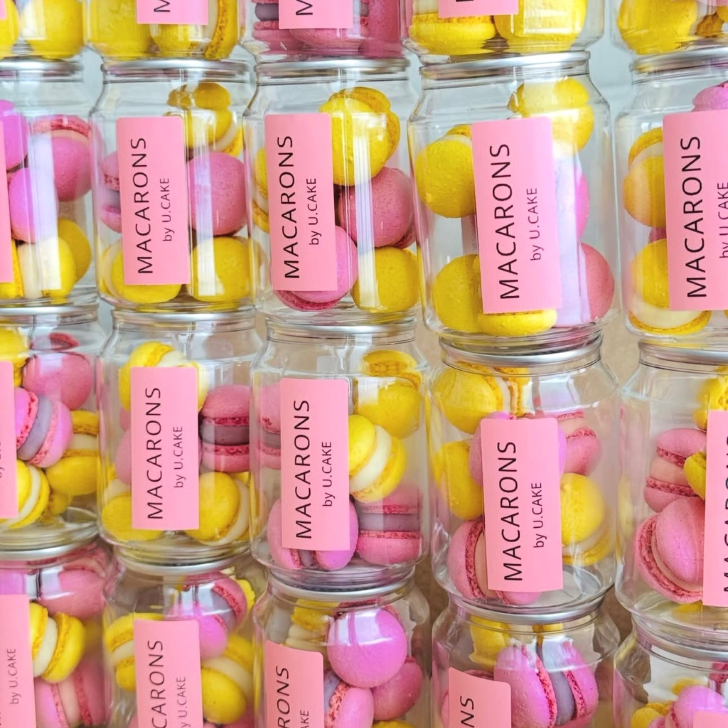macaron Signature Assortment - zChocolat